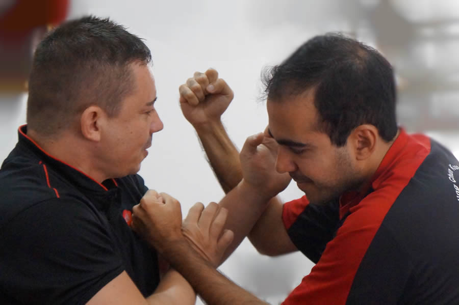 Genealogia de Sifu Monnerat