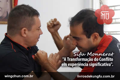 Academia Ving Tsun Niteroi RJ  - academias de kung fu niteroi santa rosa icarai rj - Academia Ving Tsun Niteroi &#8211; Novo Letreiro