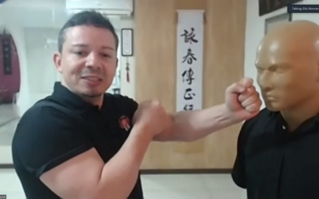 Aulas de Kung Fu em Casa nesta Quarentena